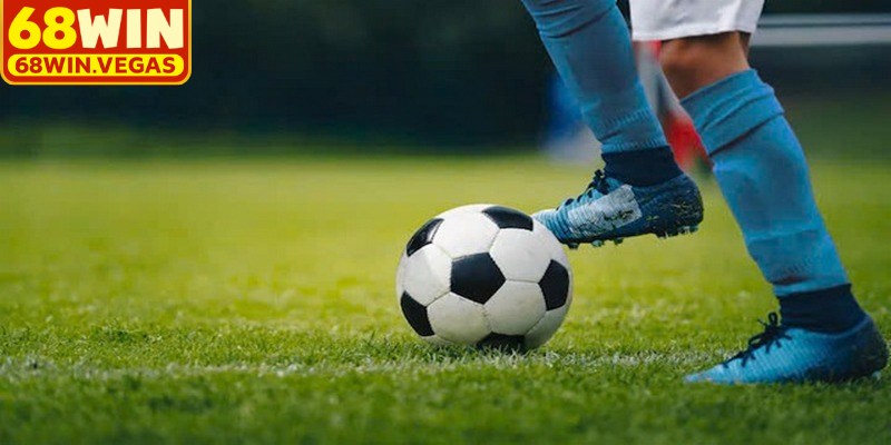 Anh em tiến hành dự đoán, đặt cược và theo dõi miễn phí nhất